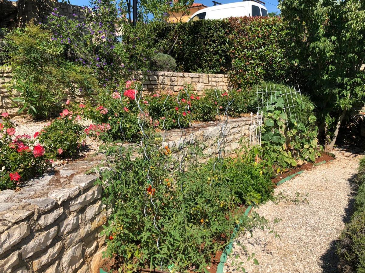 Casa Stefanie Villa Kaštelir Exteriör bild